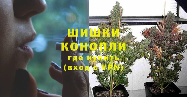 хмурый Богородицк