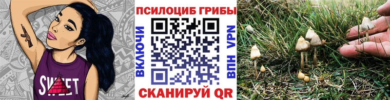 даркнет сайт Подольск Псилоцибиновые грибы прущие грибы