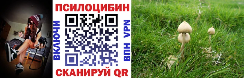 Псилоцибиновые грибы мицелий Подольск